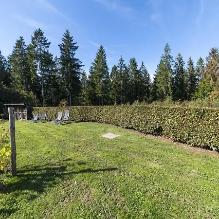 Lush Near Of B Tgenbach
