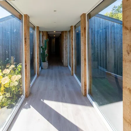 Lush Near Of Buetgenbach *