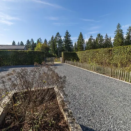 Lush Near Of Buetgenbach *